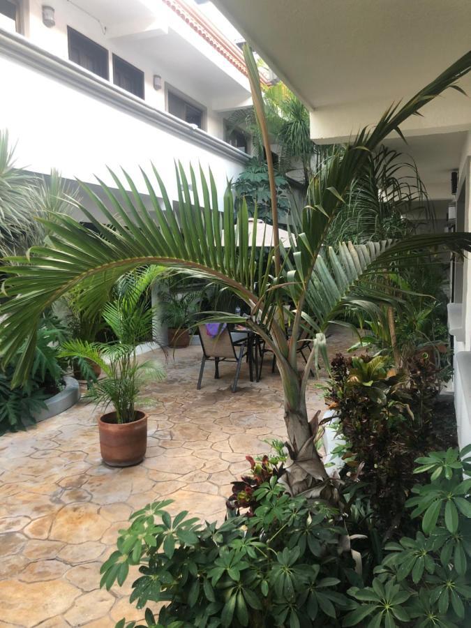 Mayan Caribe Apart-Hotel 普拉亚卡门 外观 照片